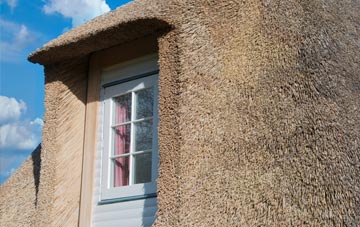 Tilsdown thatch roof disadvantages